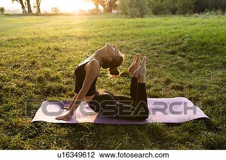 Young woman practicing yoga in park at sunset View Large Photo Image Stock Image - Young woman practicing yoga in park at sunset. Fotosearch