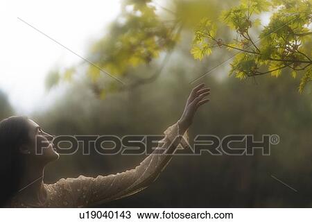 Stock Image - Young woman reaching for branches. Fotosearch