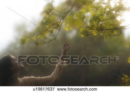 Stock Photo - Young woman reaching for branches. Fotosearch
