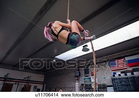 Young woman training, climbing up exercise rope in gym, low angle view View Large Photo Image Picture - Young woman training, climbing up exercise rope in gym, low angle view. Fotosearch