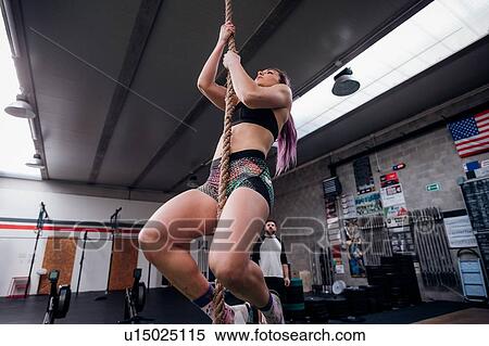 Young woman training, climbing up exercise rope in gym View Large Photo Image Stock Photography - Young woman training, climbing up exercise rope in gym. Fotosearch