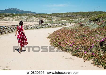 Young woman walking past flowers on beach, Alghero, Sardegna, Italy View Large Photo Image Stock Photography - Young woman walking past flowers on beach, Alghero, Sardegna, Italy. Fotosearch