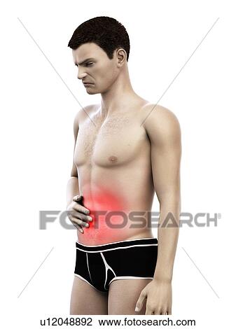 Abdominal pain, conceptual illustration. View Large Photo Image Stock Image - Abdominal pain, conceptual illustration.. Fotosearch