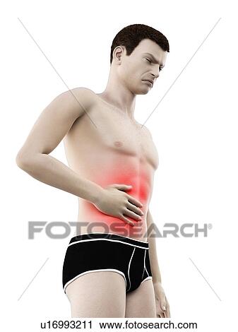 Abdominal pain, conceptual illustration. View Large Photo Image Stock Image - Abdominal pain, conceptual illustration.. Fotosearch