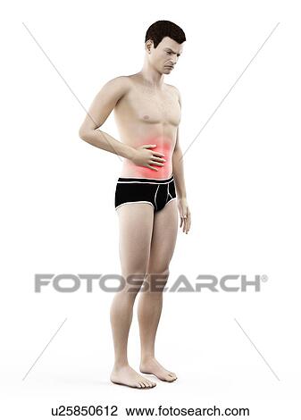 Abdominal pain, conceptual illustration. View Large Photo Image Stock Image - Abdominal pain, conceptual illustration.. Fotosearch