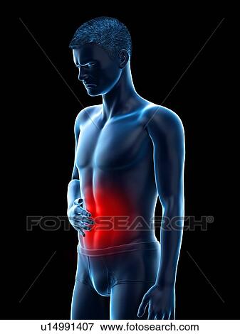 Abdominal pain, conceptual illustration. View Large Photo Image Stock Photo - Abdominal pain, conceptual illustration.. Fotosearch