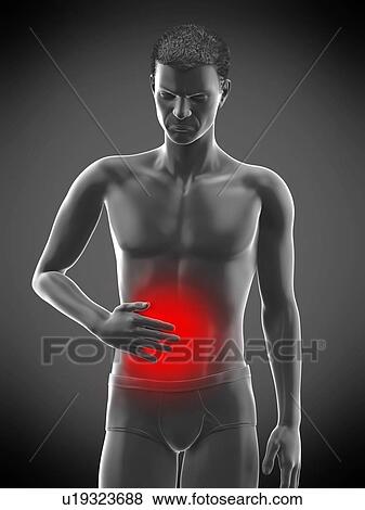 Abdominal pain, conceptual illustration. View Large Photo Image Stock Photo - Abdominal pain, conceptual illustration.. Fotosearch