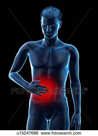 Abdominal pain, conceptual illustration. View Large Photo Image Stock Photograph - Abdominal pain, conceptual illustration.. Fotosearch