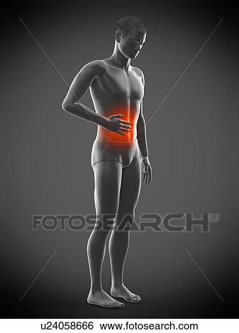 Abdominal pain, conceptual illustration. View Large Photo Image Stock Photograph - Abdominal pain, conceptual illustration.. Fotosearch