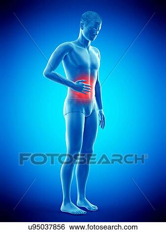 Abdominal pain, conceptual illustration. View Large Photo Image Stock Photograph - Abdominal pain, conceptual illustration.. Fotosearch
