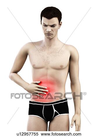 Abdominal pain, conceptual illustration. View Large Photo Image Stock Photography - Abdominal pain, conceptual illustration.. Fotosearch