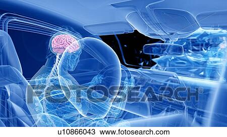 Stock Image - Airbag deployed in car crash, computer illustration.. Fotosearch