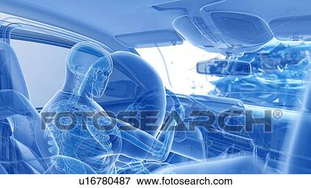 Stock Photo - Airbag deployed in car crash, computer illustration.. Fotosearch