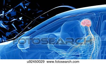 Stock Photo - Airbag deployed in car crash, computer illustration.. Fotosearch