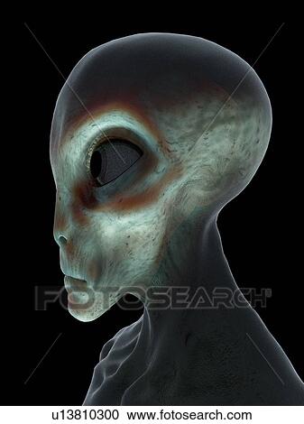 Alien, computer illustration. View Large Photo Image Stock Image - Alien, computer illustration.. Fotosearch