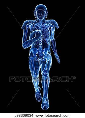 American football player's skeleton, illustration View Large Photo Image Picture - American football player's skeleton, illustration. Fotosearch