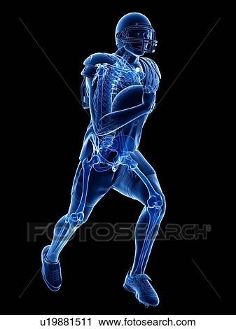 American football player's skeleton, illustration View Large Photo Image Stock Image - American football player's skeleton, illustration. Fotosearch