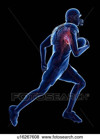 American footballer's heart, illustration View Large Photo Image Stock Photo - American footballer's heart, illustration. Fotosearch