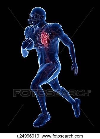 American footballer's heart, illustration View Large Photo Image Stock Photo - American footballer's heart, illustration. Fotosearch