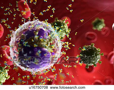 Antibodies attacking a virus, illustration View Large Photo Image Stock Photo - Antibodies attacking a virus, illustration. Fotosearch