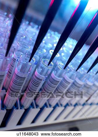 Stock Image - Automated blood sample testing in laboratory for healthcare screening.. Fotosearch