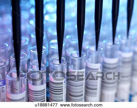 Automated blood sample testing in laboratory for healthcare screening. View Large Photo Image Stock Photo - Automated blood sample testing in laboratory for healthcare screening.. Fotosearch