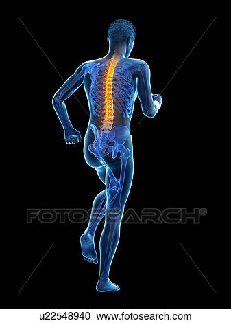Back pain, conceptual illustration. View Large Photo Image Stock Image - Back pain, conceptual illustration.. Fotosearch