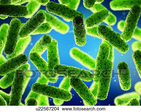 Picture - Bacteria, computer illustration.. Fotosearch