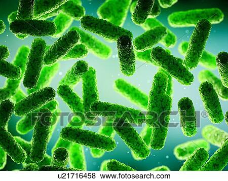 Stock Photo - Bacteria, computer illustration.. Fotosearch
