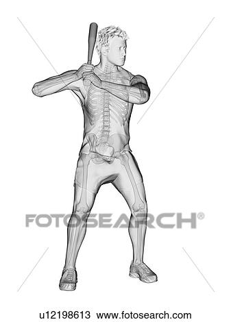 Stock Image - Baseball player's skeleton, computer illustration.. Fotosearch