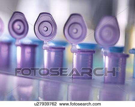 Stock Image - Biotechnology research. Sample being pipetted into test tubes.. Fotosearch