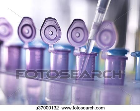Stock Image - Biotechnology research. Sample being pipetted into test tubes.. Fotosearch