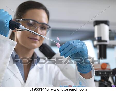 Stock Image - Biotechnology research. Scientist pipetting sample into a microcentrifuge tube ready for automated analysis.. Fotosearch