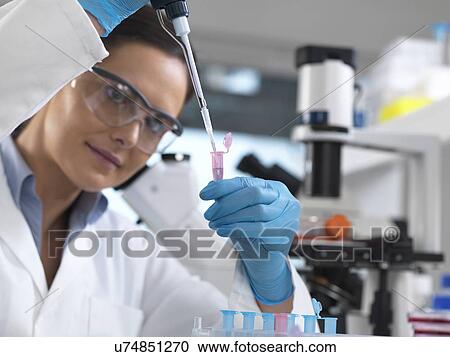 Biotechnology research. Scientist pipetting sample into a microcentrifuge tube ready for automated analysis. View Large Photo Image Stock Image - Biotechnology research. Scientist pipetting sample into a microcentrifuge tube ready for automated analysis.. Fotosearch