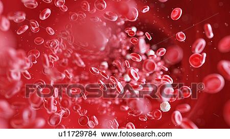 Blood cells, computer illustration. View Large Photo Image Picture - Blood cells, computer illustration.. Fotosearch