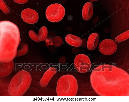 Picture - Blood cells, computer illustration.. Fotosearch