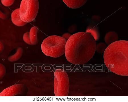 Blood cells, computer illustration. View Large Photo Image Stock Image - Blood cells, computer illustration.. Fotosearch