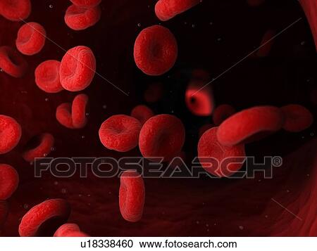 Stock Image - Blood cells, computer illustration.. Fotosearch