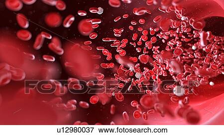 Stock Photo - Blood cells, computer illustration.. Fotosearch