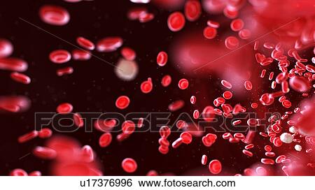 Blood cells, computer illustration. View Large Photo Image Stock Photograph - Blood cells, computer illustration.. Fotosearch