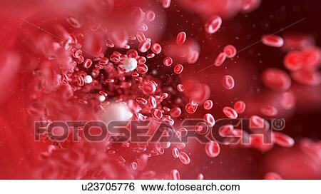 Stock Photograph - Blood cells, computer illustration.. Fotosearch