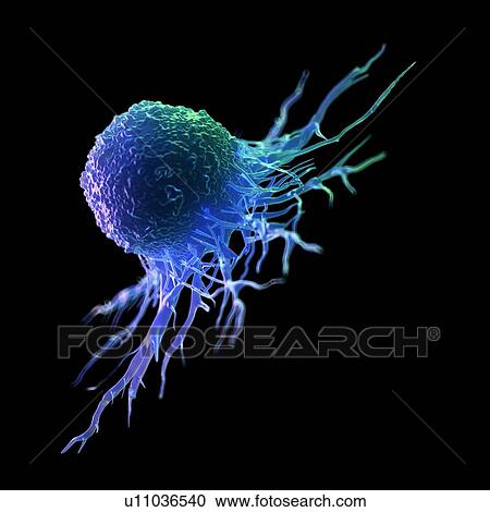 Stock Image - Cancer cell, computer illustration.. Fotosearch