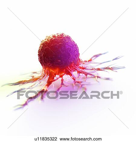 Stock Image - Cancer cell, computer illustration.. Fotosearch
