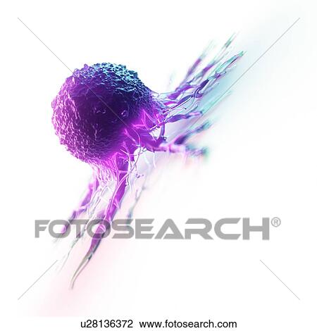 Cancer cell, computer illustration. View Large Photo Image Stock Image - Cancer cell, computer illustration.. Fotosearch