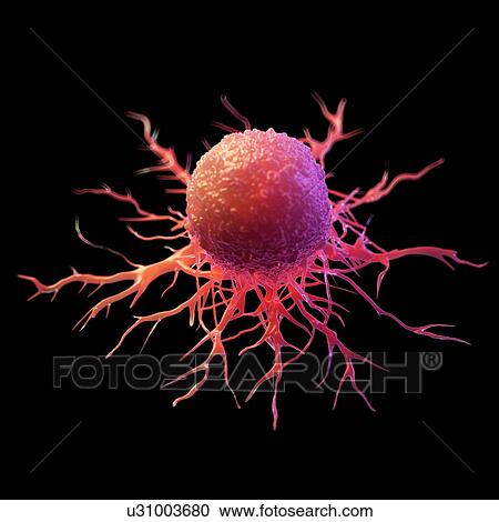 Stock Image - Cancer cell, computer illustration.. Fotosearch