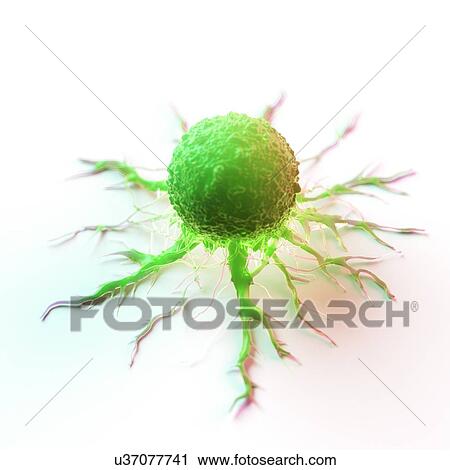 Stock Image - Cancer cell, computer illustration.. Fotosearch