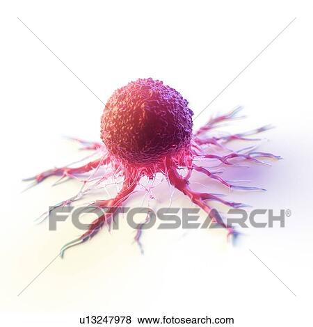 Stock Photo - Cancer cell, computer illustration.. Fotosearch