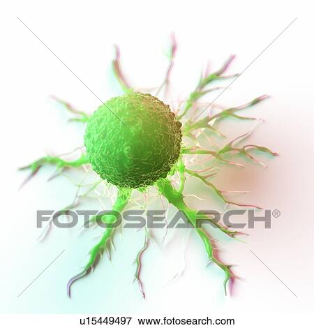 Stock Photo - Cancer cell, computer illustration.. Fotosearch