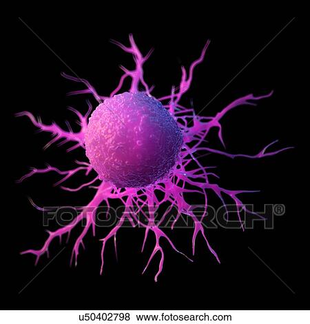 Cancer cell, computer illustration. View Large Photo Image Stock Photo - Cancer cell, computer illustration.. Fotosearch