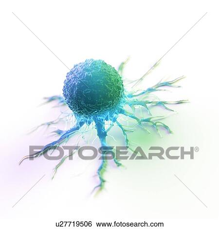 Cancer cell, computer illustration. View Large Photo Image Stock Photograph - Cancer cell, computer illustration.. Fotosearch